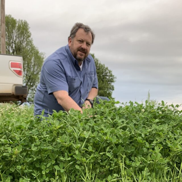 Buffalo Clover Blend® (Annual and Perennial)