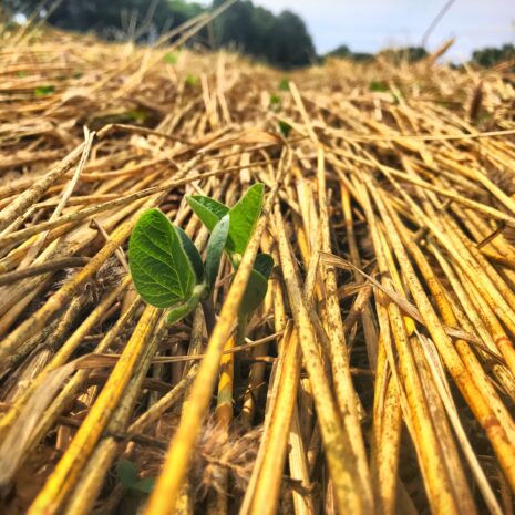 CD556792-D380-4FFF-B891-F3222B20D8E7 CD556792-D380-4FFF-B891-F3222B20D8E7