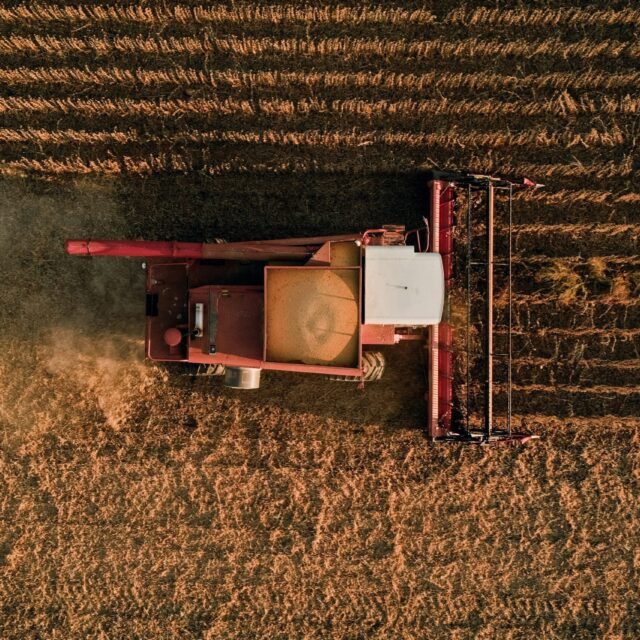 ESCO AG Beans: ES 5519 RR - Southern Full Season