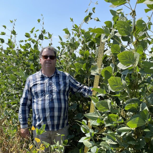 Everest™ Non-GMO Forage Soybean