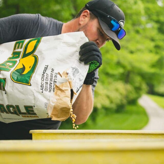 XTENDFLEX® Soybeans: ES 4888 XF