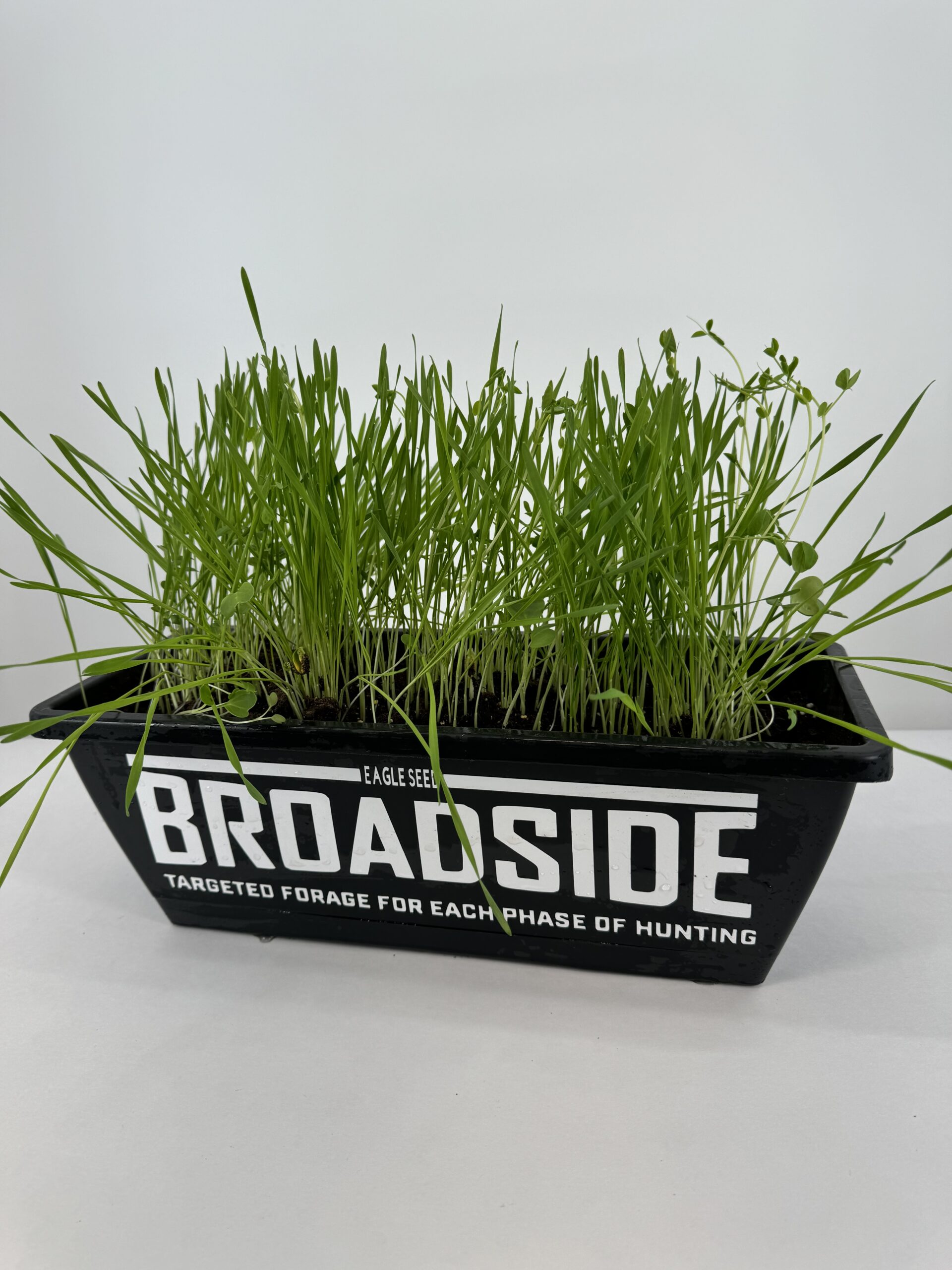 Broadside Fall Blend