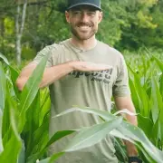 Roundup-Ready-Corn Roundup-Ready-Corn