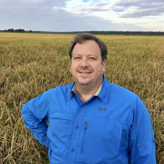 Jupiter Rice