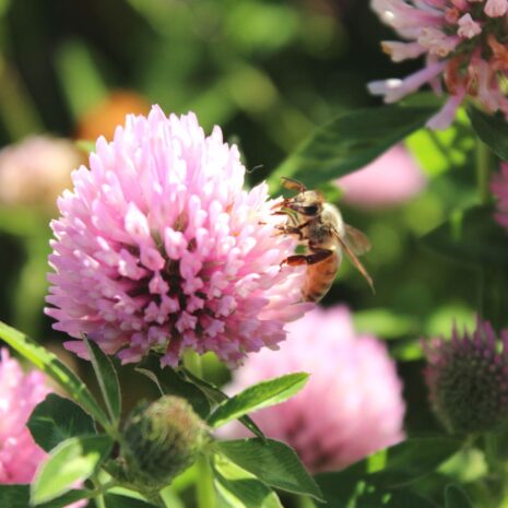 xr:d:DAFTX7H3CSA:4,j:42573744010,t:22112923 xr:d:DAFTX7H3CSA:4,j:42573744010,t:22112923