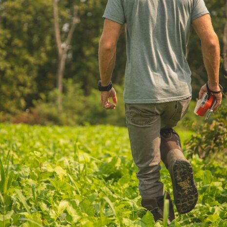 buffalo fall blend green plants dude walkin in
