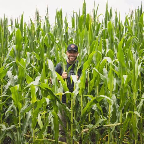 corn face