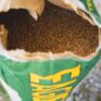 eagle wheat bag hole view