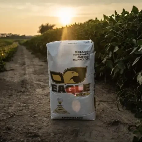 interior-content-image-03