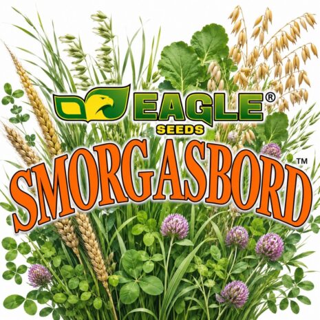 smorgasbord logo smorgasbord logo